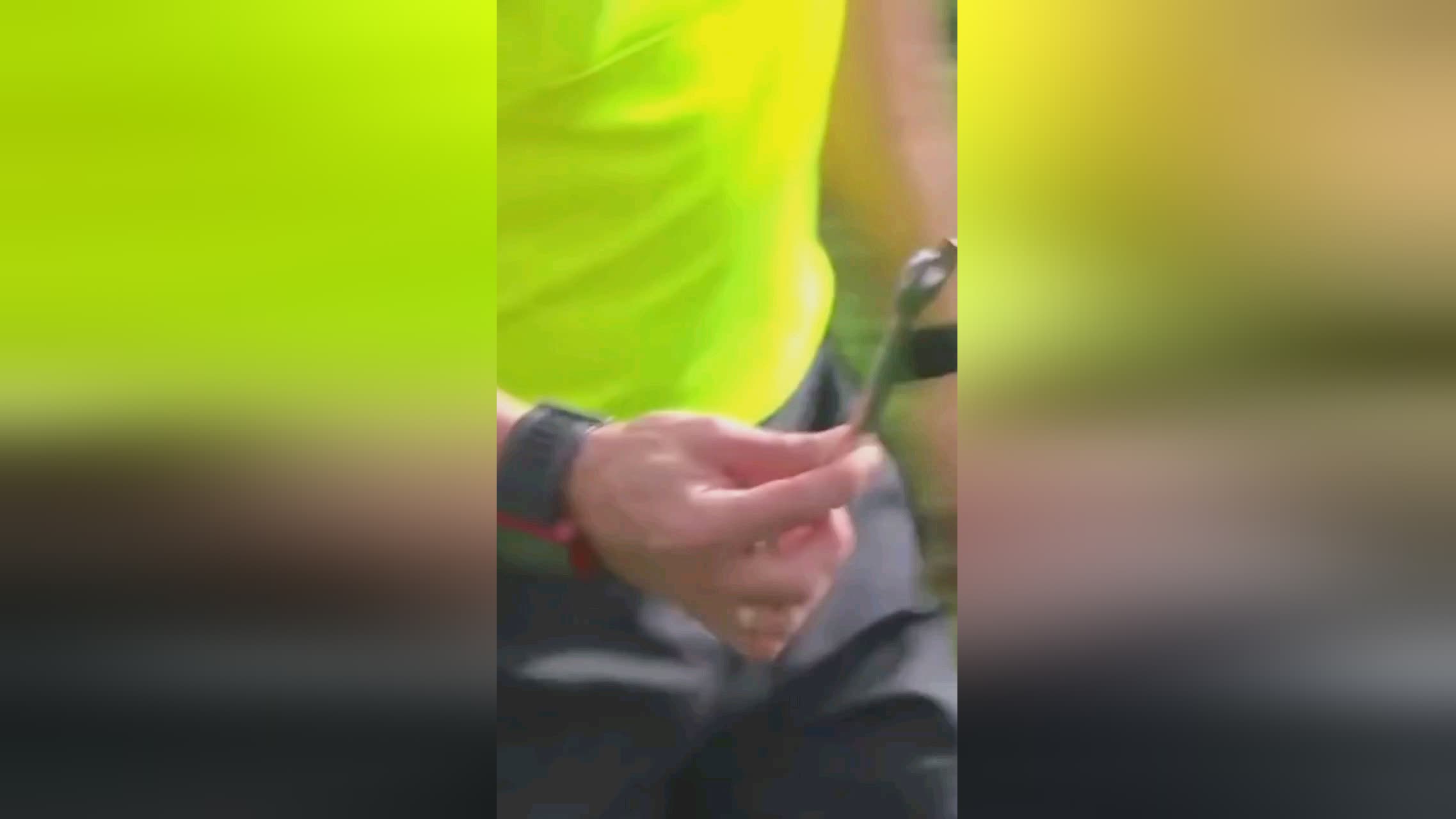 坦泰利亚斯