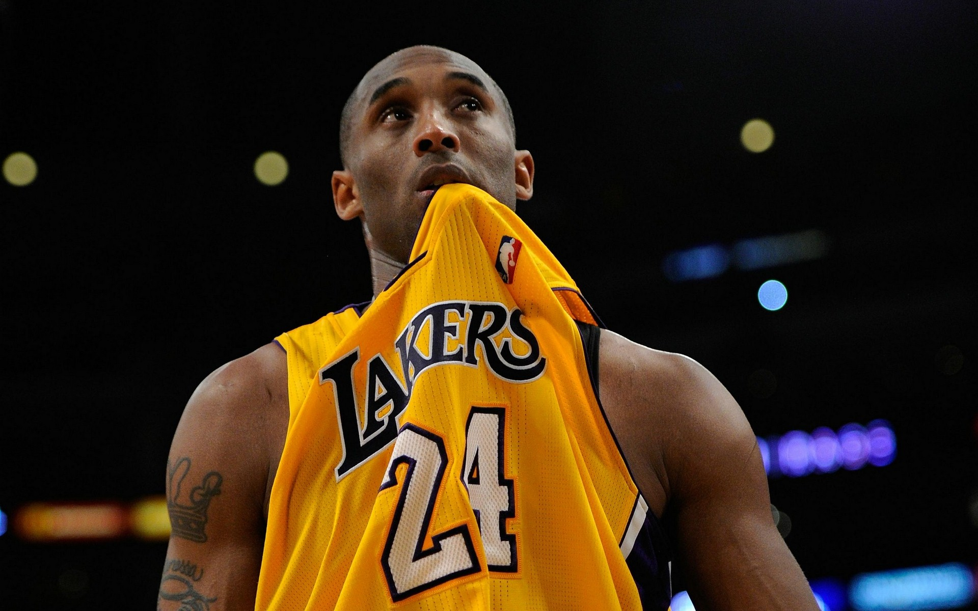 壮举更是史 壮举更是史